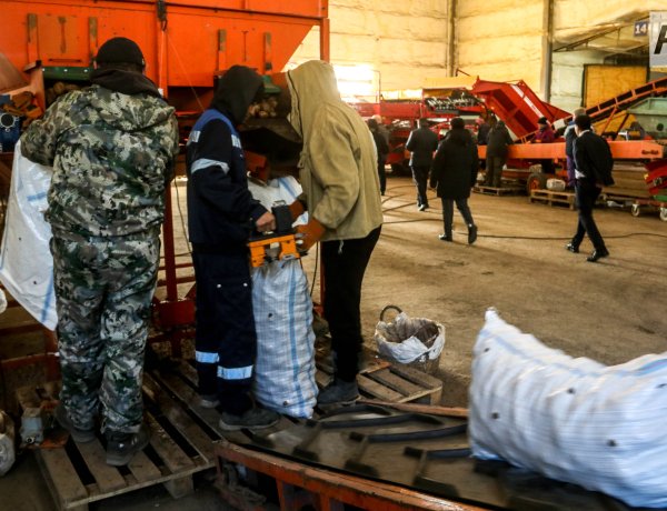 Павлодар облысында төрт мыңнан астам адам жұмыс тапты