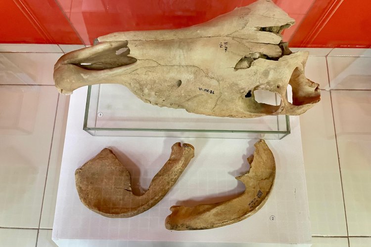 Русское порно онлайн: Брат трахает әпкесі ванна бөлмесінде, ал ол тістерін тазартады