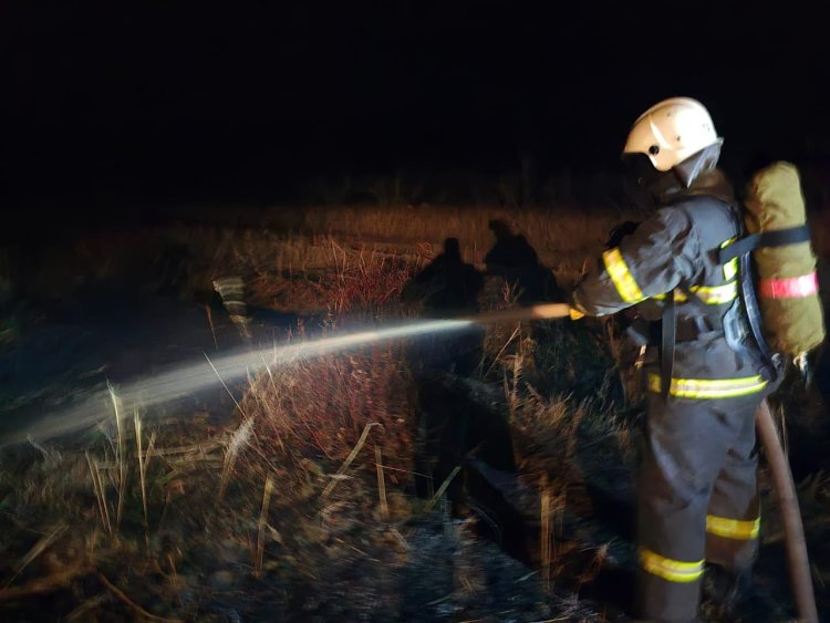 Павлодар облысында электр желісіне отырған құс өрт себепкеріне айналды