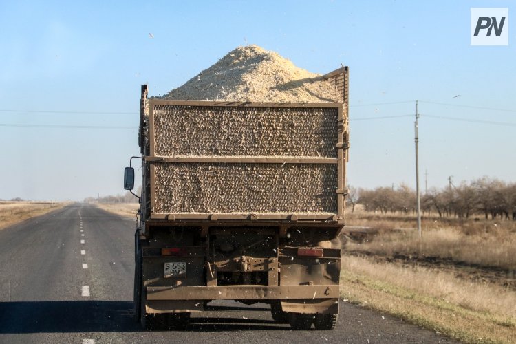 Павлодар облысы аграрлық салаға тартылған инвестициялар бойынша көш бастап тұр