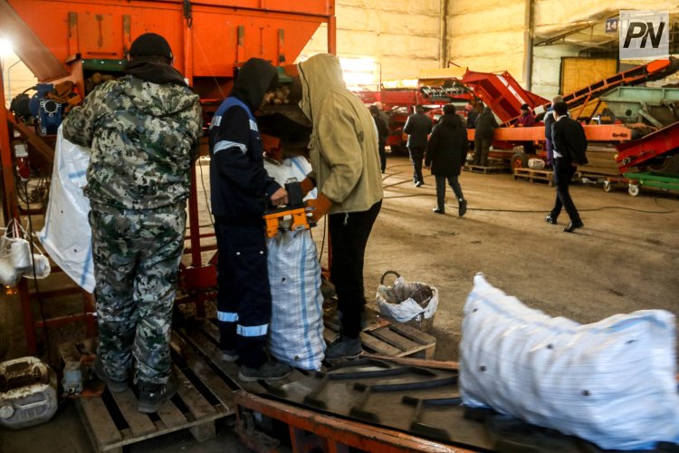 Павлодар облысында төрт мыңнан астам адам жұмыс тапты