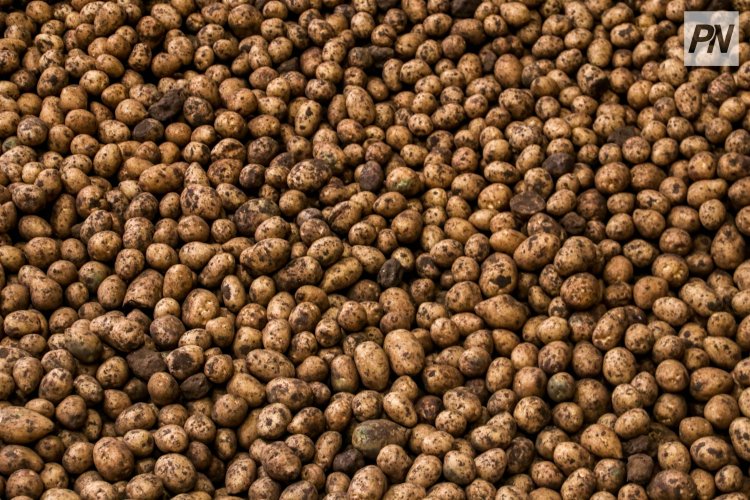 Екібастұзда инвестициялық қолдаудың сәтті үлгісі көрсетілді