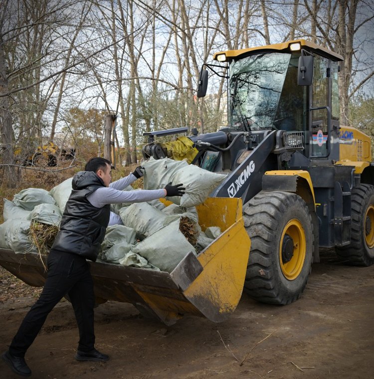Энергия листьев: павлодарские учёные нашли применение биомассе