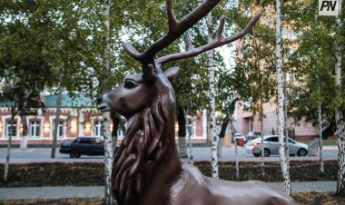 Павлодарда саябақтарды жаңартады