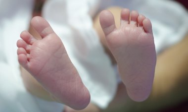 Павлодар облысында 15 жылдан астам бала күткен отбасы ЭКҰ арқылы ата-ана атанды