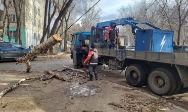 Қатты жел: Павлодарлық коммуналдық қызметтер күшейтілген режимге көшті