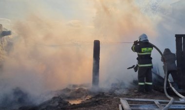 Май ауданында қора және ағаш шатыры өртенді