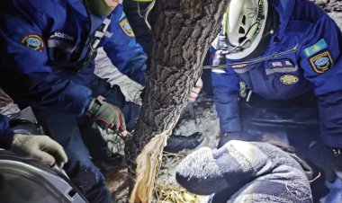 Павлодарда жол апатынан жүргізуші көлікте қысылып қалды