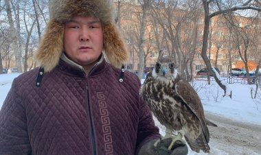 Павлодарлық құсбегі жыртқыш құстармен халықаралық жарыста жеңімпаз атанды