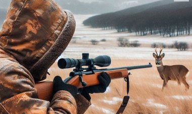 Железин ауданында еліктерді атып өлтірген тұрғын ұсталды