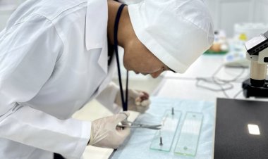 Павлодарлық студенттер жануарлардың жүрек соғу жиілігін тексерді