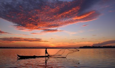 Павлодарда балықшы жазаланды
