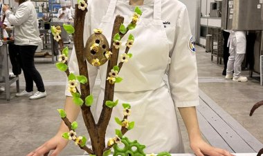 Павлодарлық студенттер Данияда өтетін EuroSkills чемпионатына қатысады