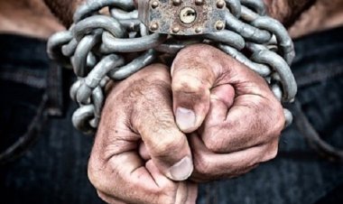 В Павлодарской области приступили к проверке арендных квартир