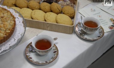 Павлодарда эко-наубайхана ашылады