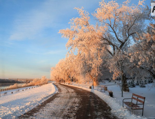 Осадков не будет в Павлодарской области 29 декабря
