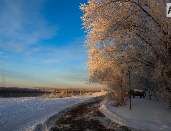 Бүгін Павлодар облысында қар жауады