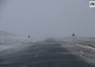 Водителей Павлодарской области просят воздержаться от дальних поездок