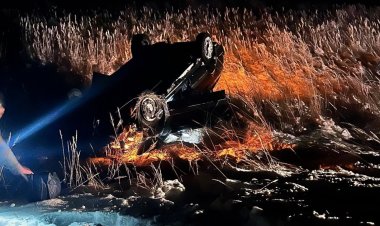 Водитель погиб после столкновения с лошадями