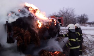 Ақсу маңындағы ауылда шөп өртенді