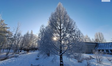 12 февраля в Павлодарской области пройдет небольшой снег