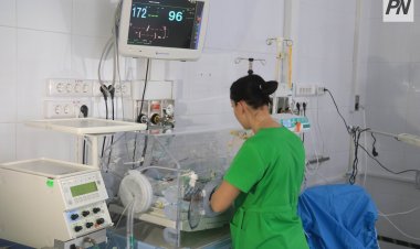 Кому отдадут предпочтение при распределении квот на ЭКО в Павлодарской области