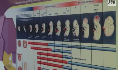Павлодардың бас дәрігері перинаталдық орталықтағы мәселені жеке тексерді