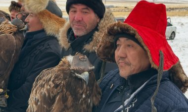 Открытый турнир беркутчи завершился в Баянаульском районе