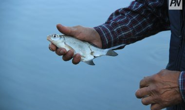 Баянаульским рыбакам запретили ловить рыбу