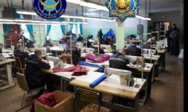 Павлодарские предприниматели могут открыть бизнес в помещениях КУИС