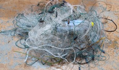 Баянауыл ұлттық паркінде заңсыз балық аулау фактісі анықталды