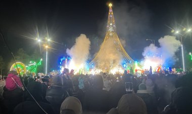 Зажглась главная елка Павлодарской области