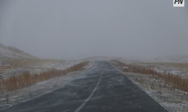 Павлодарлықтарға алыс сапарға шығудан бас тарту ұсынылды