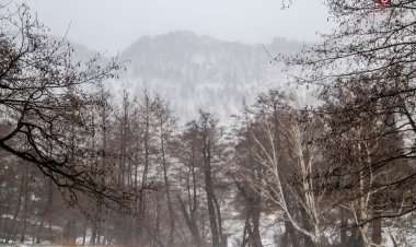 Павлодарлық оқушы Баянауыл ұлттық саябағына виртуалды саяхат ұйымдастырды