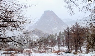 Павлодарда зағип балаларға арналған тифлосаяхат іске қосылды