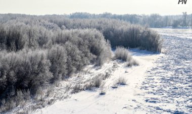 1 наурызда Павлодар облысында аздаған қар жауады