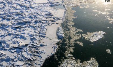 Павлодарские спасатели сняли со льда пятерых детей