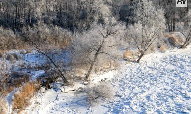 Павлодар облысында орман қоры аумағында бақылау күшейтілді