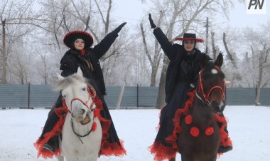 В Павлодаре показали результат экспериментального курса с учёными конями