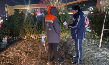 Павлодарских торговцев наказали за ёлки «без гражданства»