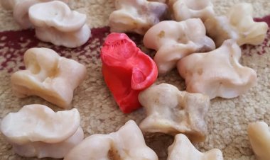 Екібастұзда асық ату спортшылары қаржылай марапатталды