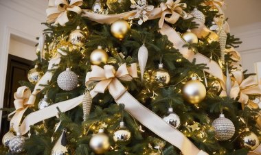 Павлодарлықтарға жаңа жылдық безендірудің ерекше түрлері ұсынылады