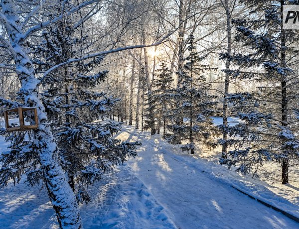 11 декабря в Павлодарской области потеплеет