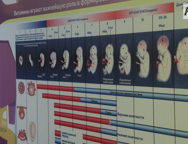 Павлодарда болашақ ата-аналарға арналған ашық есік күні өтеді