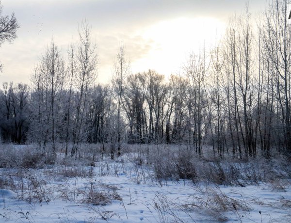 Снег ожидают в Павлодарской области 20 декабря