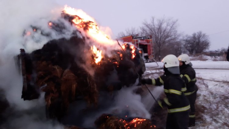 Ақсу маңындағы ауылда шөп өртенді