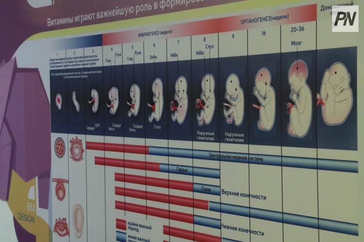 Павлодардың бас дәрігері перинаталдық орталықтағы мәселені жеке тексерді