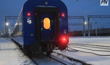 В Павлодарской области пассажирский поезд экстренно затормозил из-за животных
