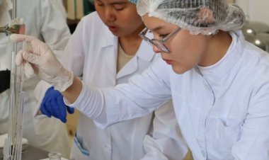 Павлодар облысында колледждерге гранттар рекордтық көлемде бөлінді
