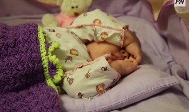 Павлодар облысы туу көрсеткіші бойынша кейбір көршілерінен озды